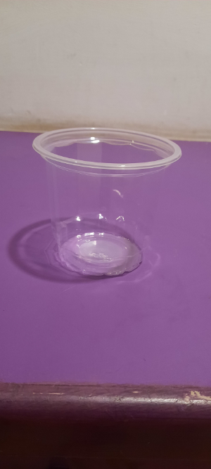 Glass Champion